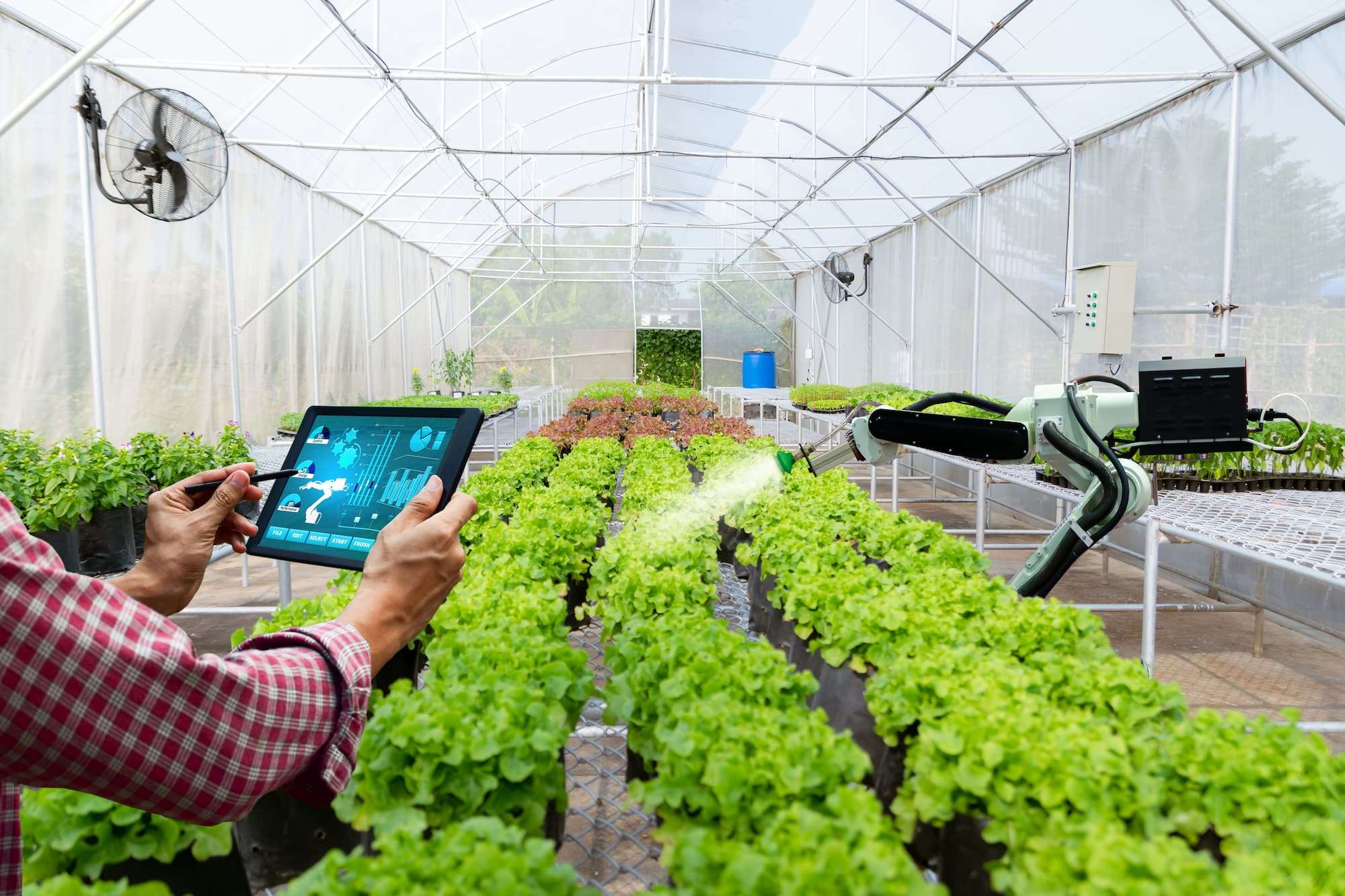 Smart Greenhouses: The Future of Horticultural Technology